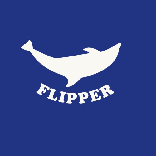 Coder Foundry: Flipper